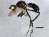  ( - BIOUG15853-B10)  @14 [ ] CreativeCommons - Attribution (2015) CBG Photography Group Centre for Biodiversity Genomics
