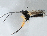  ( - BIOUG15901-G04)  @13 [ ] CreativeCommons - Attribution (2015) CBG Photography Group Centre for Biodiversity Genomics