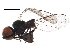  ( - BIOUG16594-E03)  @12 [ ] CreativeCommons - Attribution (2015) CBG Photography Group Centre for Biodiversity Genomics