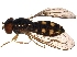  ( - BIOUG14867-F09)  @13 [ ] CreativeCommons - Attribution (2015) CBG Photography Group Centre for Biodiversity Genomics