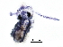  ( - BIOUG15729-B03)  @12 [ ] CreativeCommons - Attribution (2016) CBG Photography Group Centre for Biodiversity Genomics