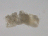  ( - BIOUG01719-A05)  @12 [ ] CreativeCommons - Attribution (2012) Gillian Martin Centre for Biodiversity Genomics