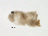  ( - BIOUG01719-A09)  @13 [ ] CreativeCommons - Attribution (2012) Gillian Martin Centre for Biodiversity Genomics