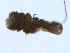  ( - BIOUG01719-B01)  @12 [ ] CreativeCommons - Attribution (2012) Gillian Martin Centre for Biodiversity Genomics