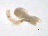  ( - BIOUG01719-B10)  @12 [ ] CreativeCommons - Attribution (2012) Gillian Martin Centre for Biodiversity Genomics