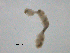  ( - BIOUG01719-C03)  @12 [ ] CreativeCommons - Attribution (2012) Gillian Martin Centre for Biodiversity Genomics