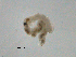  ( - BIOUG01719-C06)  @12 [ ] CreativeCommons - Attribution (2012) Gillian Martin Centre for Biodiversity Genomics