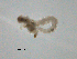  ( - BIOUG01719-C07)  @12 [ ] CreativeCommons - Attribution (2012) Gillian Martin Centre for Biodiversity Genomics