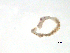  ( - BIOUG01720-B05)  @12 [ ] CreativeCommons - Attribution (2012) Gillian Martin Centre for Biodiversity Genomics