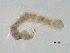  ( - BIOUG01720-B06)  @12 [ ] CreativeCommons - Attribution (2012) Gillian Martin Centre for Biodiversity Genomics