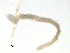  ( - BIOUG01720-C09)  @12 [ ] CreativeCommons - Attribution (2012) Gillian Martin Centre for Biodiversity Genomics