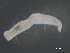  ( - BIOUG03310-A08)  @12 [ ] CreativeCommons - Attribution (2012) Gillian Martin Centre for Biodiversity Genomics