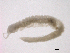  ( - BIOUG03311-B08)  @12 [ ] CreativeCommons - Attribution (2012) Gillian Martin Centre for Biodiversity Genomics