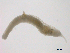  ( - BIOUG03311-B11)  @12 [ ] CreativeCommons - Attribution (2012) Gillian Martin Centre for Biodiversity Genomics