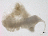  ( - BIOUG03311-D03)  @12 [ ] CreativeCommons - Attribution (2012) Gillian Martin Centre for Biodiversity Genomics