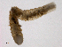  ( - BIOUG03311-G01)  @13 [ ] CreativeCommons - Attribution (2012) Gillian Martin Centre for Biodiversity Genomics