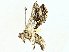  ( - BIOUG91331-C02)  @11 [ ] CreativeCommons - Attribution (2022) CBG Photography Group Centre for Biodiversity Genomics