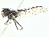  ( - BIOUG91332-A02)  @11 [ ] CreativeCommons - Attribution (2022) CBG Photography Group Centre for Biodiversity Genomics