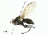  ( - BIOUG91332-C02)  @11 [ ] CreativeCommons - Attribution (2022) CBG Photography Group Centre for Biodiversity Genomics