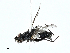  ( - BIOUG91333-G04)  @11 [ ] CreativeCommons - Attribution (2022) CBG Photography Group Centre for Biodiversity Genomics