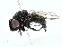  ( - BIOUG91334-B04)  @11 [ ] CreativeCommons - Attribution (2022) CBG Photography Group Centre for Biodiversity Genomics