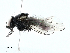  ( - BIOUG91334-B10)  @11 [ ] CreativeCommons - Attribution (2022) CBG Photography Group Centre for Biodiversity Genomics