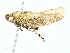  ( - BIOUG91337-B03)  @11 [ ] CreativeCommons - Attribution (2022) CBG Photography Group Centre for Biodiversity Genomics