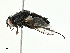  ( - BIOUG91337-C01)  @11 [ ] CreativeCommons - Attribution (2022) CBG Photography Group Centre for Biodiversity Genomics
