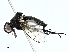  ( - BIOUG91337-C11)  @11 [ ] CreativeCommons - Attribution (2022) CBG Photography Group Centre for Biodiversity Genomics