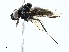  ( - BIOUG91337-D09)  @11 [ ] CreativeCommons - Attribution (2022) CBG Photography Group Centre for Biodiversity Genomics