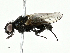  ( - BIOUG91337-E01)  @11 [ ] CreativeCommons - Attribution (2022) CBG Photography Group Centre for Biodiversity Genomics