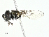  ( - BIOUG91337-E02)  @11 [ ] CreativeCommons - Attribution (2022) CBG Photography Group Centre for Biodiversity Genomics