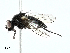  ( - BIOUG91337-E04)  @11 [ ] CreativeCommons - Attribution (2022) CBG Photography Group Centre for Biodiversity Genomics