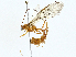  ( - BIOUG91338-B05)  @11 [ ] CreativeCommons - Attribution (2023) CBG Photography Group Centre for Biodiversity Genomics