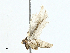  ( - BIOUG91339-B03)  @11 [ ] CreativeCommons - Attribution (2023) CBG Photography Group Centre for Biodiversity Genomics