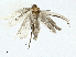  ( - BIOUG91339-G02)  @11 [ ] CreativeCommons - Attribution (2023) CBG Photography Group Centre for Biodiversity Genomics
