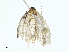 ( - BIOUG91339-H03)  @11 [ ] CreativeCommons - Attribution (2023) CBG Photography Group Centre for Biodiversity Genomics