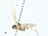  ( - BIOUG97777-C04)  @11 [ ] CreativeCommons - Attribution (2023) CBG Photography Group Centre for Biodiversity Genomics