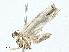  ( - BIOUG97777-C10)  @11 [ ] CreativeCommons - Attribution (2023) CBG Photography Group Centre for Biodiversity Genomics