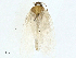  ( - BIOUG97777-G03)  @11 [ ] CreativeCommons - Attribution (2023) CBG Photography Group Centre for Biodiversity Genomics