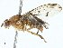  ( - BIOUG97777-H08)  @11 [ ] CreativeCommons - Attribution (2023) CBG Photography Group Centre for Biodiversity Genomics