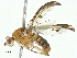  ( - BIOUG97778-A02)  @11 [ ] CreativeCommons - Attribution (2023) CBG Photography Group Centre for Biodiversity Genomics