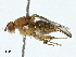  ( - BIOUG97778-A12)  @11 [ ] CreativeCommons - Attribution (2023) CBG Photography Group Centre for Biodiversity Genomics