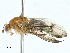  ( - BIOUG97778-B05)  @11 [ ] CreativeCommons - Attribution (2023) CBG Photography Group Centre for Biodiversity Genomics