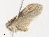  ( - CBG-A30140-C07)  @11 [ ] CreativeCommons - Attribution Share - Alike (2024) CBG Photography Group Centre for Biodiversity Genomics