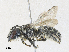  ( - CBG-A30140-E04)  @11 [ ] CreativeCommons - Attribution Share - Alike (2024) CBG Photography Group Centre for Biodiversity Genomics