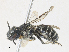  ( - CBG-A30140-E05)  @11 [ ] CreativeCommons - Attribution Share - Alike (2024) CBG Photography Group Centre for Biodiversity Genomics