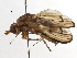  ( - BIOUG22280-A09)  @14 [ ] CreativeCommons - Attribution (2016) CBG Photography Group Centre for Biodiversity Genomics