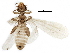  ( - BIOUG23220-E12)  @13 [ ] CreativeCommons - Attribution (2016) CBG Photography Group Centre for Biodiversity Genomics
