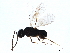  ( - BIOUG22087-F07)  @13 [ ] CreativeCommons - Attribution (2019) CBG Photography Group Centre for Biodiversity Genomics